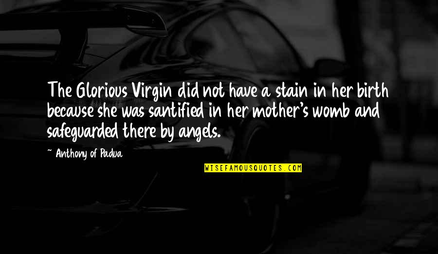 My Angel Mother Quotes By Anthony Of Padua: The Glorious Virgin did not have a stain