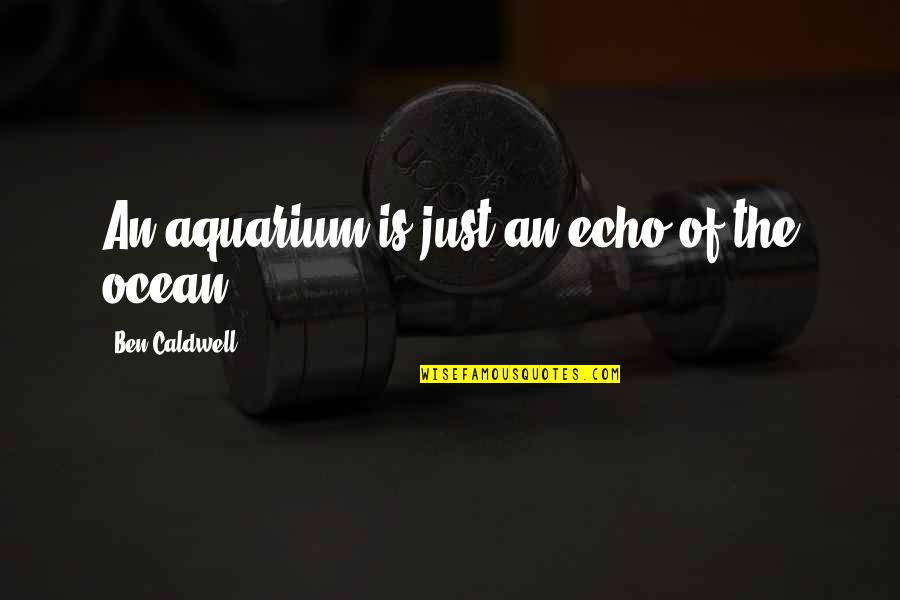 My Aquarium Quotes By Ben Caldwell: An aquarium is just an echo of the
