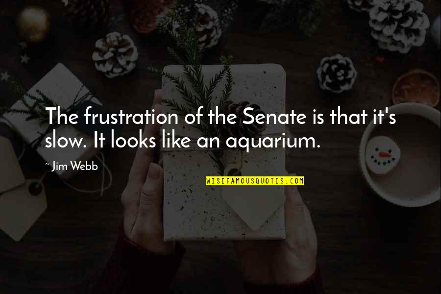 My Aquarium Quotes By Jim Webb: The frustration of the Senate is that it's