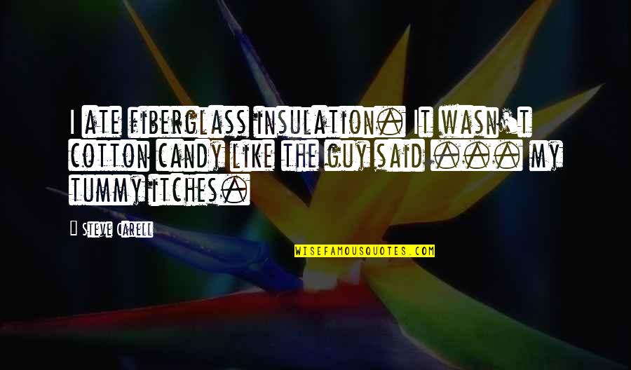 My Ate Quotes By Steve Carell: I ate fiberglass insulation. It wasn't cotton candy