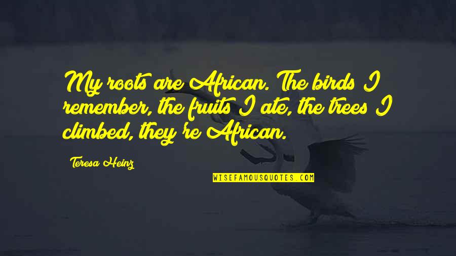 My Ate Quotes By Teresa Heinz: My roots are African. The birds I remember,