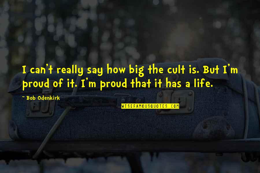 My Autobiography Of Carson Mccullers Quotes By Bob Odenkirk: I can't really say how big the cult My Autobiography Of Carson Mccullers Quotes By Bob Odenkirk: I can't really say how big the cult