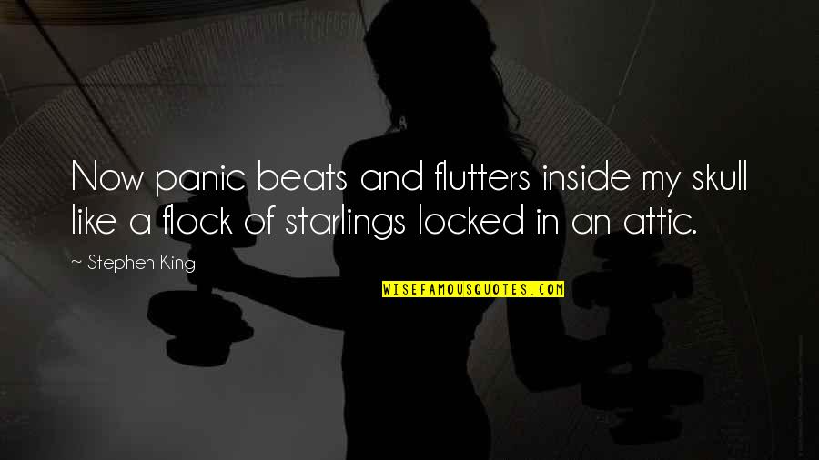 My Beats Quotes By Stephen King: Now panic beats and flutters inside my skull