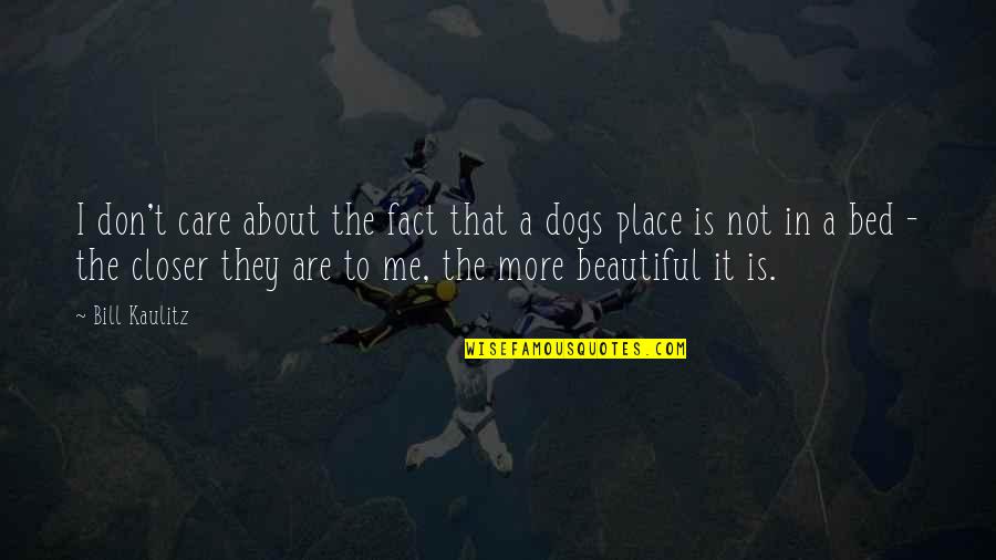 My Beautiful Dog Quotes By Bill Kaulitz: I don't care about the fact that a