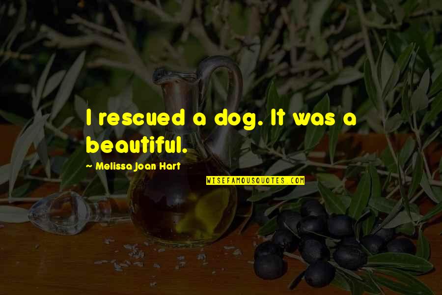 My Beautiful Dog Quotes By Melissa Joan Hart: I rescued a dog. It was a beautiful.