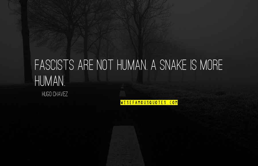 My Beloved Daughter Quotes By Hugo Chavez: Fascists are not human. A snake is more