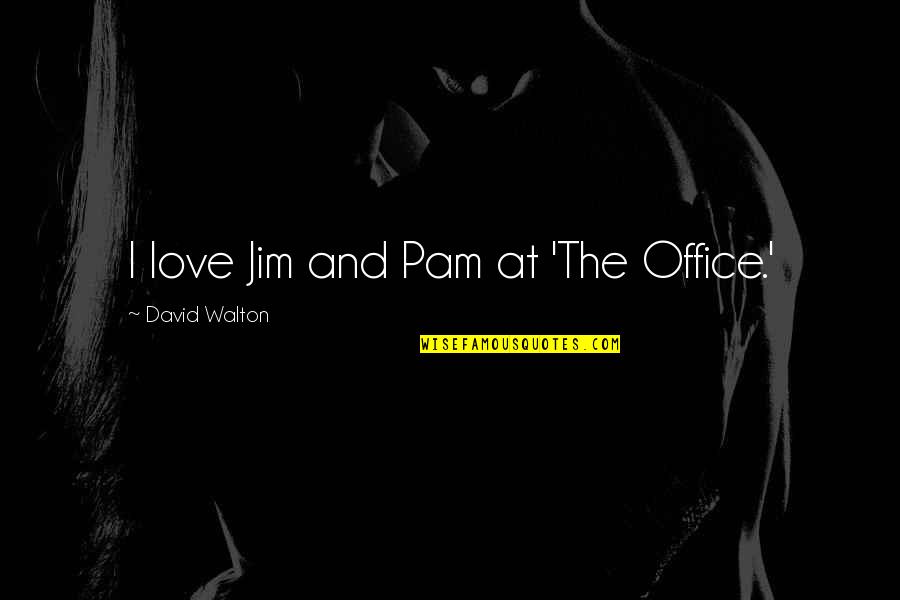 My Best Friend Hurt Me So Bad Quotes By David Walton: I love Jim and Pam at 'The Office.'