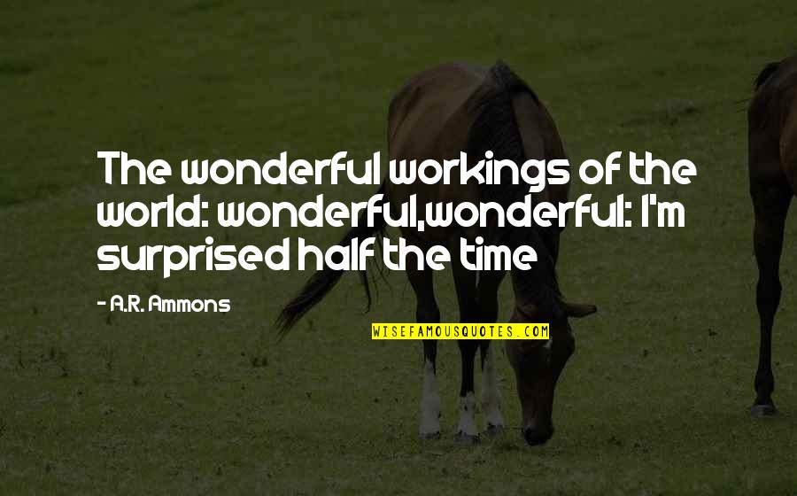 My Best Half Quotes By A.R. Ammons: The wonderful workings of the world: wonderful,wonderful: I'm
