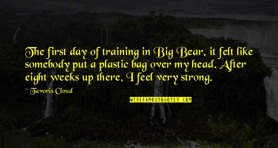 My Big Bear Quotes By Tavoris Cloud: The first day of training in Big Bear,