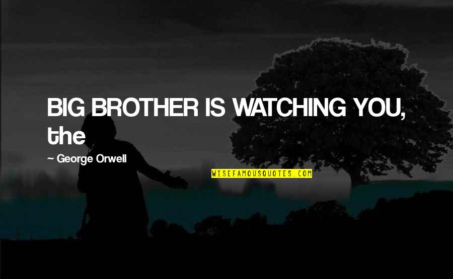 My Big Brother Quotes By George Orwell: BIG BROTHER IS WATCHING YOU, the