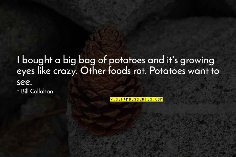 My Big Eyes Quotes By Bill Callahan: I bought a big bag of potatoes and
