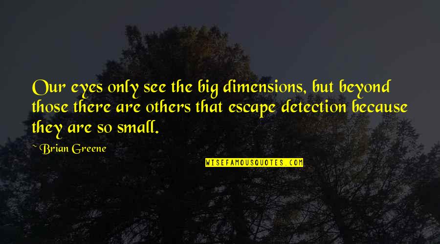 My Big Eyes Quotes By Brian Greene: Our eyes only see the big dimensions, but