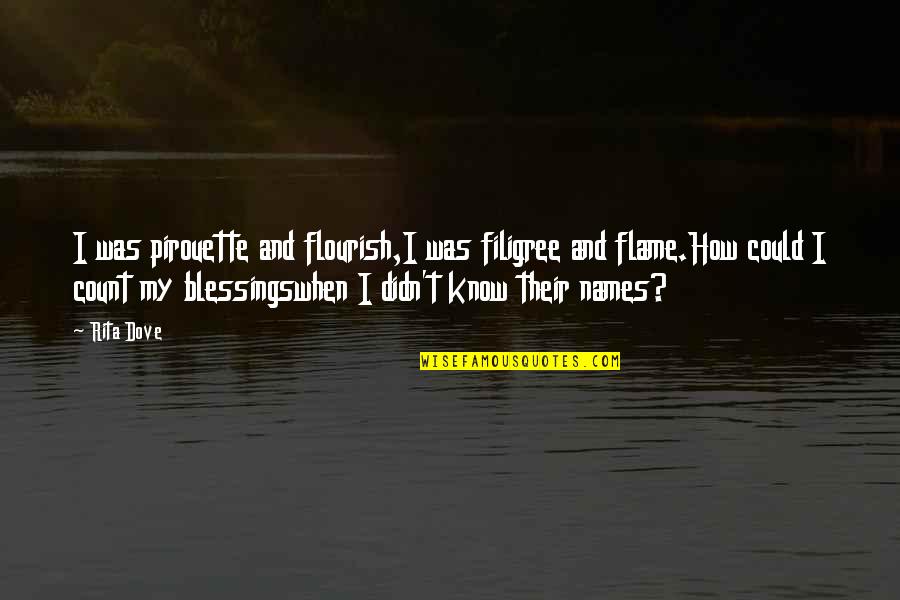 My Blessings Quotes By Rita Dove: I was pirouette and flourish,I was filigree and