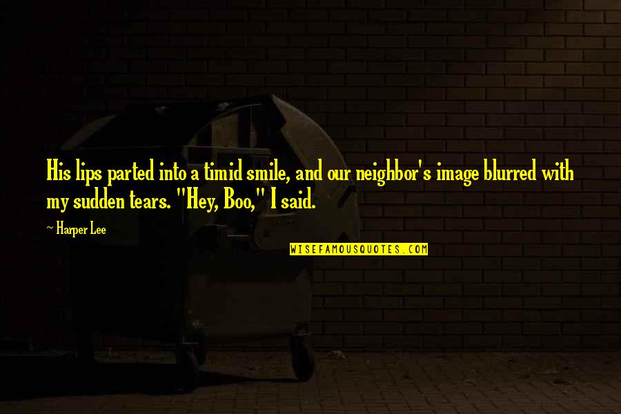 My Boo Boo Quotes By Harper Lee: His lips parted into a timid smile, and
