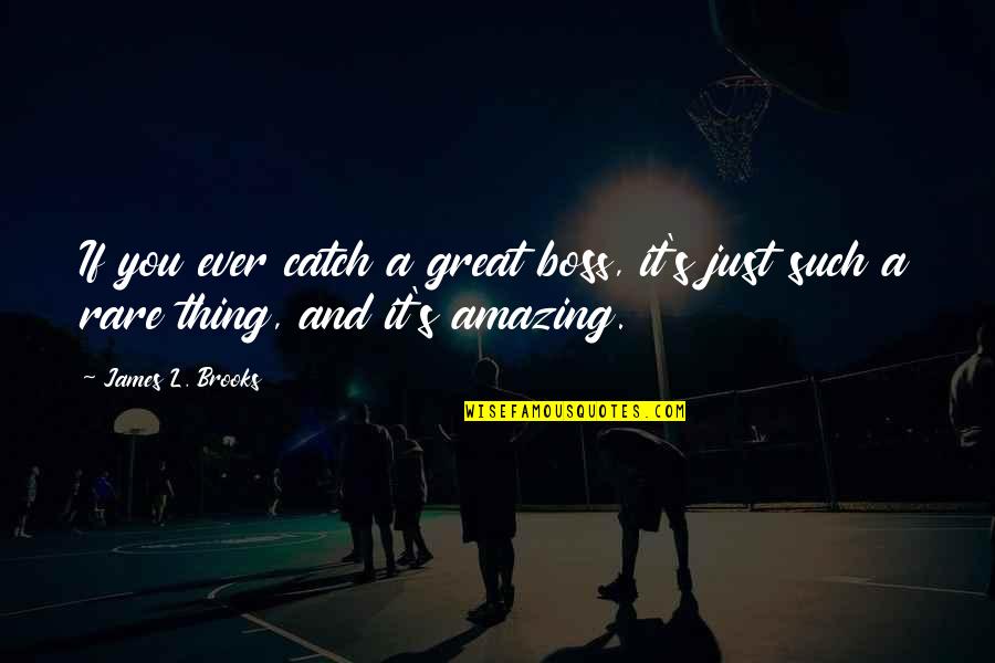 My Boss Is Great Quotes By James L. Brooks: If you ever catch a great boss, it's