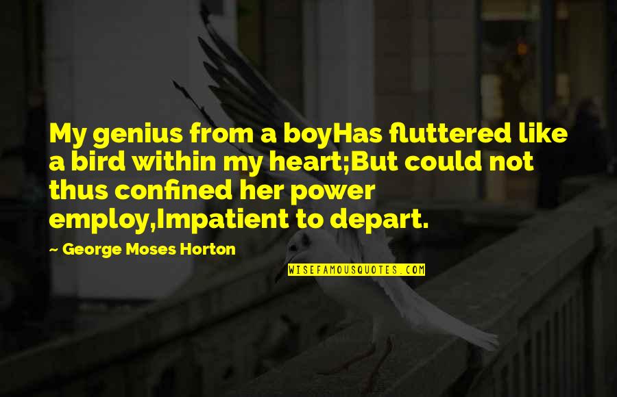 My Boy Quotes By George Moses Horton: My genius from a boyHas fluttered like a My Boy Quotes By George Moses Horton: My genius from a boyHas fluttered like a