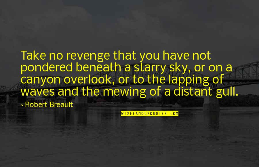 My Boyfriend Better Not Quotes By Robert Breault: Take no revenge that you have not pondered