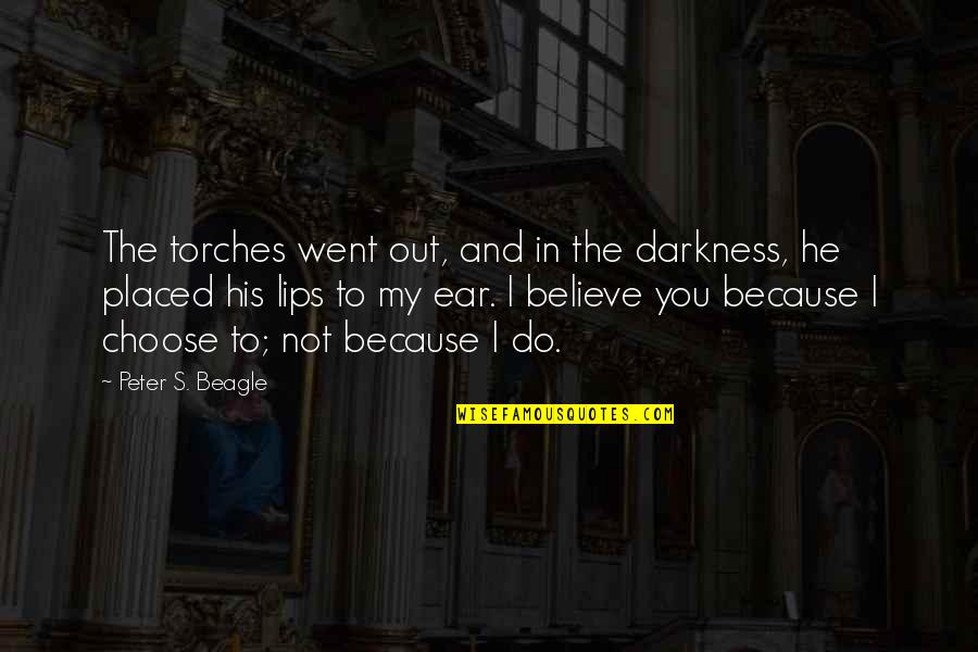 My Boyfriend Is My Hero Quotes By Peter S. Beagle: The torches went out, and in the darkness,