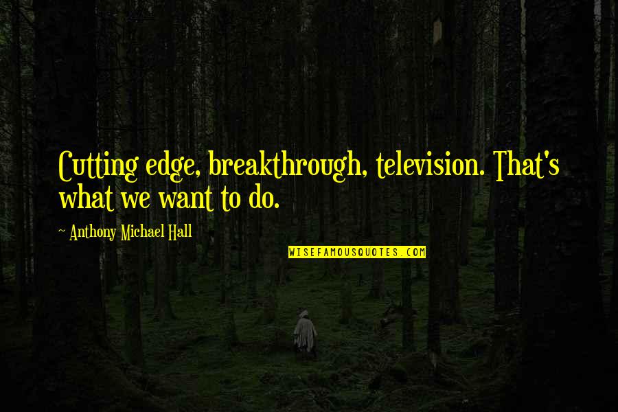 My Breakthrough Quotes By Anthony Michael Hall: Cutting edge, breakthrough, television. That's what we want