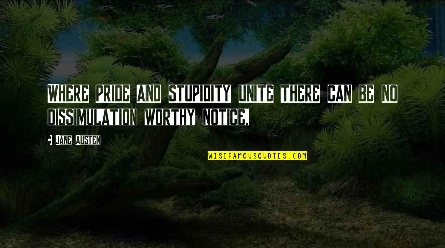 My Brother Getting Married Quotes By Jane Austen: Where pride and stupidity unite there can be