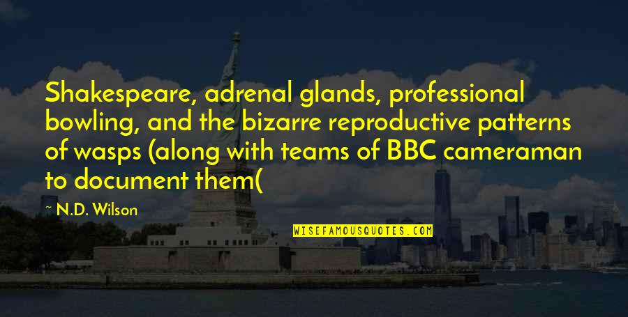My Cameraman Quotes By N.D. Wilson: Shakespeare, adrenal glands, professional bowling, and the bizarre My Cameraman Quotes By N.D. Wilson: Shakespeare, adrenal glands, professional bowling, and the bizarre