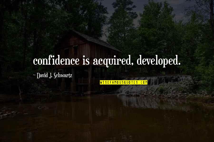 My Car Broke Down Quotes By David J. Schwartz: confidence is acquired, developed.