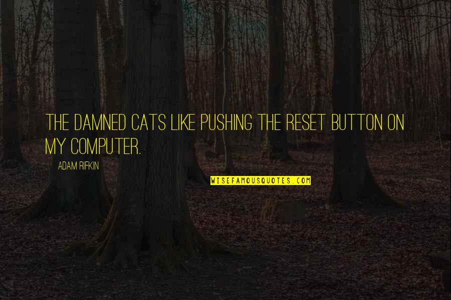 My Cats Quotes By Adam Rifkin: The damned cats like pushing the reset button
