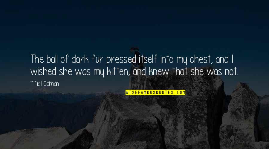 My Cats Quotes By Neil Gaiman: The ball of dark fur pressed itself into My Cats Quotes By Neil Gaiman: The ball of dark fur pressed itself into