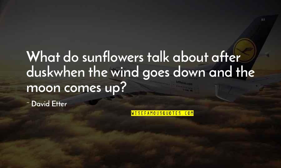 My Chauffeur Quotes By David Etter: What do sunflowers talk about after duskwhen the My Chauffeur Quotes By David Etter: What do sunflowers talk about after duskwhen the