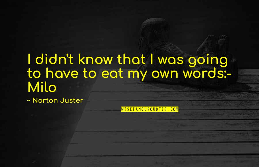 My Childrens Quotes By Norton Juster: I didn't know that I was going to