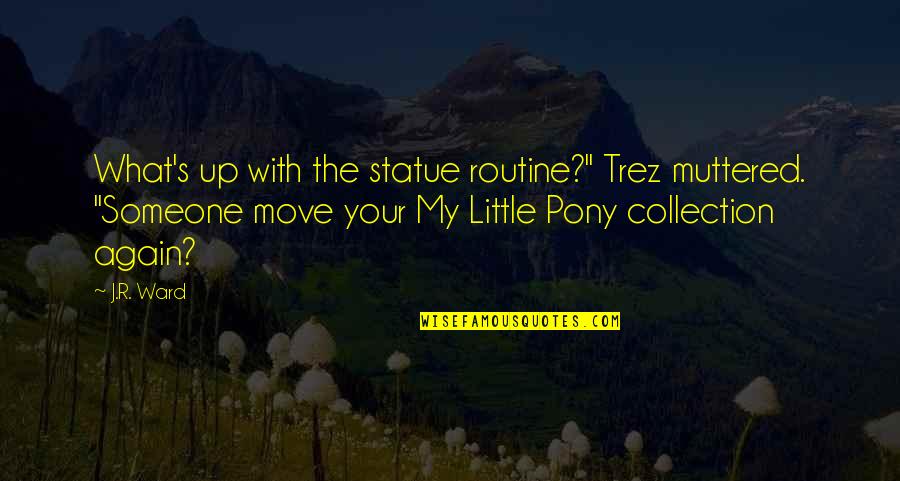 My Collection Quotes By J.R. Ward: What's up with the statue routine?" Trez muttered.