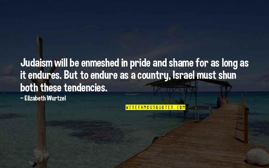 My Country My Pride Quotes By Elizabeth Wurtzel: Judaism will be enmeshed in pride and shame