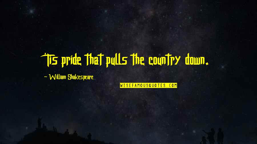 My Country My Pride Quotes By William Shakespeare: 'Tis pride that pulls the country down.