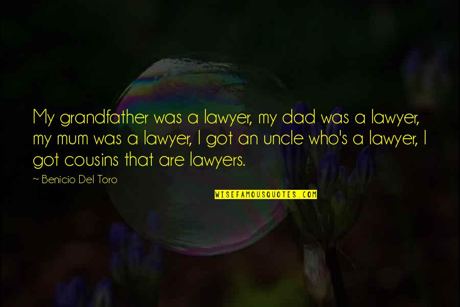 My Cousins Quotes By Benicio Del Toro: My grandfather was a lawyer, my dad was My Cousins Quotes By Benicio Del Toro: My grandfather was a lawyer, my dad was