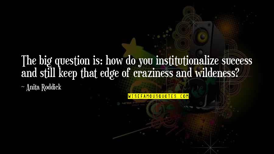 My Craziness Quotes By Anita Roddick: The big question is: how do you institutionalize