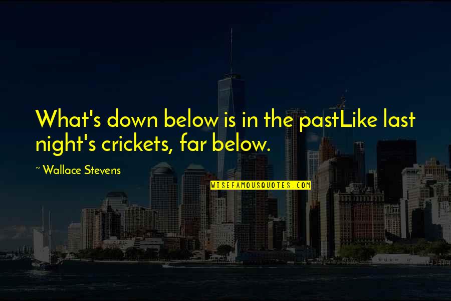 My Daughter Rocks Cerebral Palsy Quotes By Wallace Stevens: What's down below is in the pastLike last My Daughter Rocks Cerebral Palsy Quotes By Wallace Stevens: What's down below is in the pastLike last