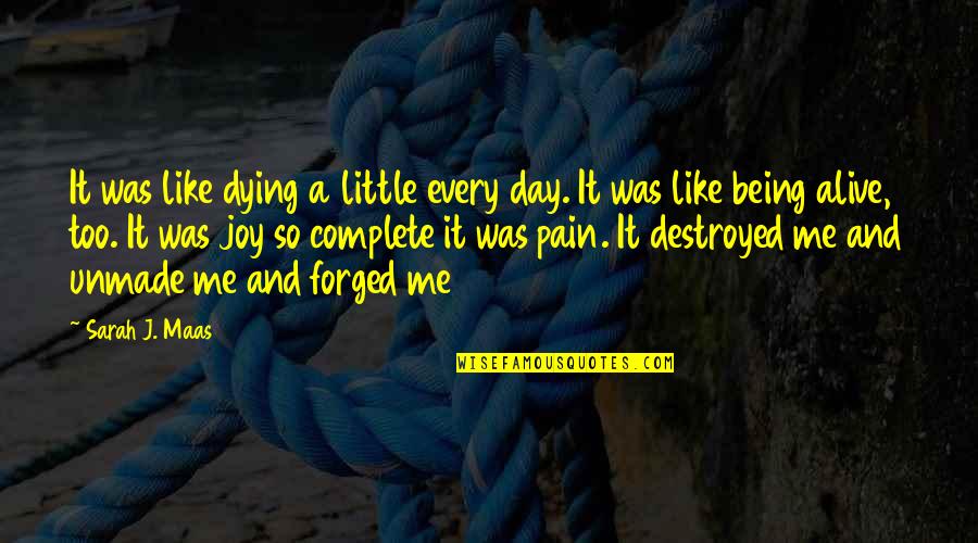 My Day Complete Quotes By Sarah J. Maas: It was like dying a little every day.