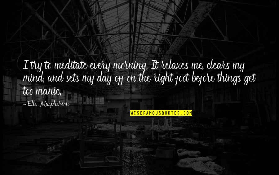 My Day Off Quotes By Elle Macpherson: I try to meditate every morning. It relaxes