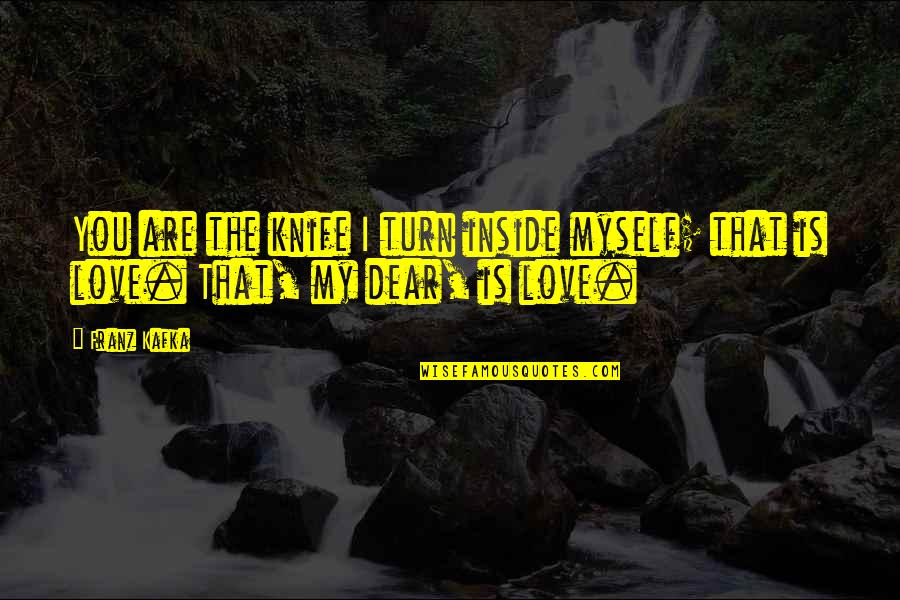My Dear I Love You Quotes By Franz Kafka: You are the knife I turn inside myself;