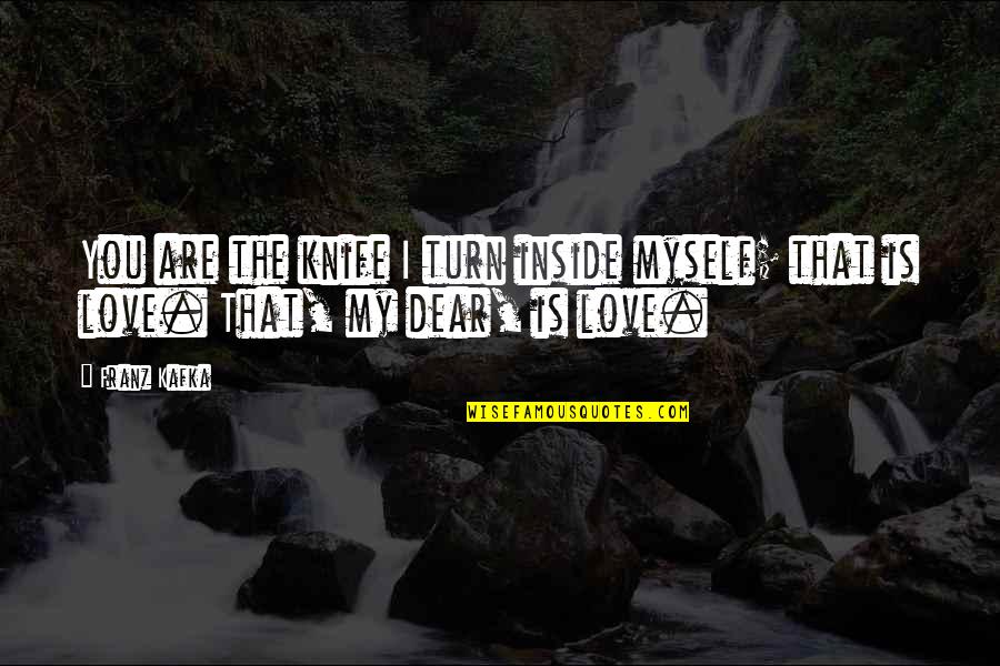 My Dear Love Quotes By Franz Kafka: You are the knife I turn inside myself;