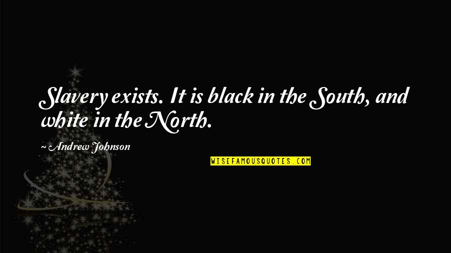 My Dear Mom Quotes By Andrew Johnson: Slavery exists. It is black in the South,
