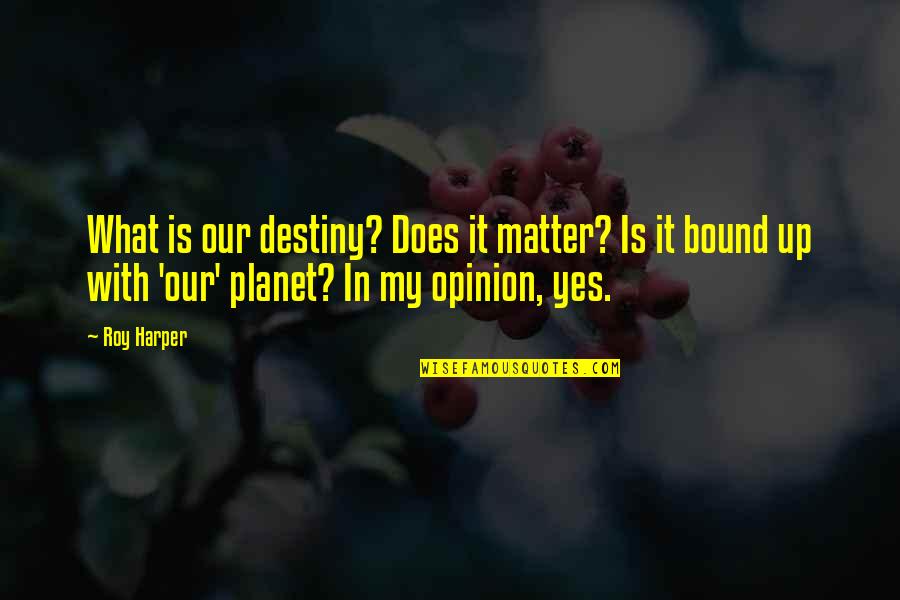 My Destiny Quotes By Roy Harper: What is our destiny? Does it matter? Is