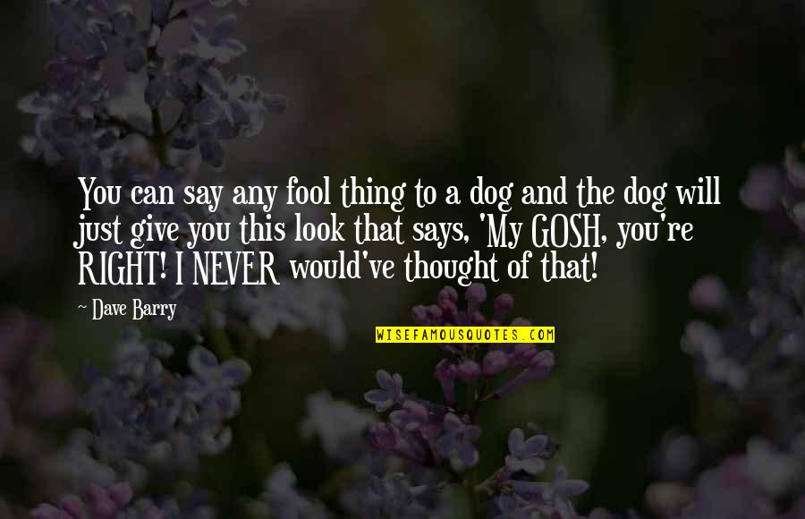 My Dog And I Quotes By Dave Barry: You can say any fool thing to a