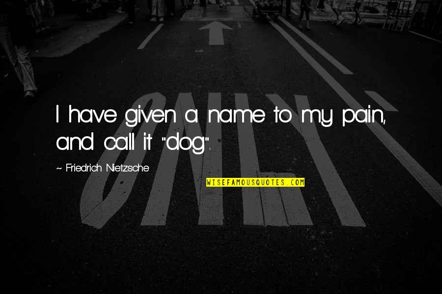 My Dog And I Quotes By Friedrich Nietzsche: I have given a name to my pain,