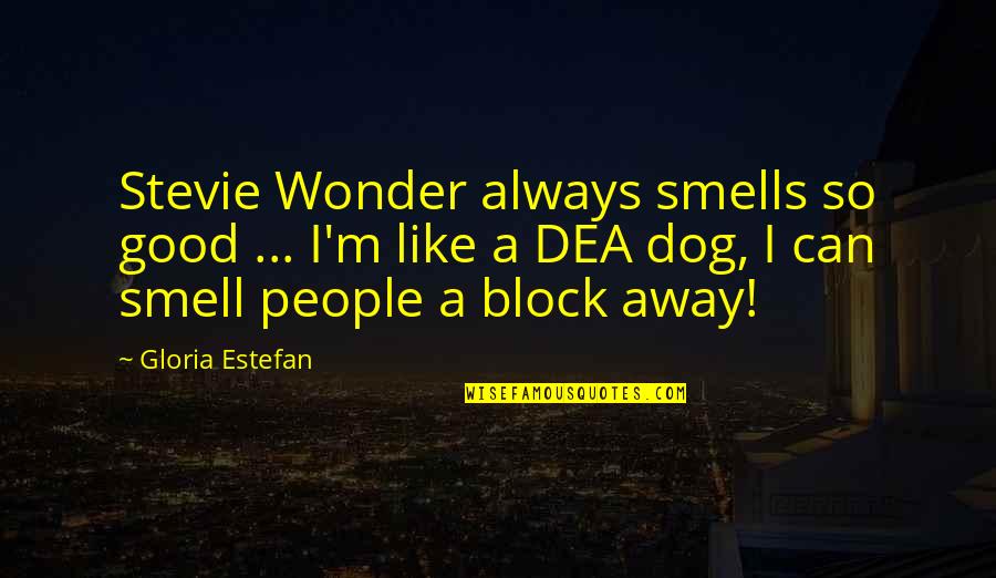 My Dog Funny Quotes By Gloria Estefan: Stevie Wonder always smells so good ... I'm