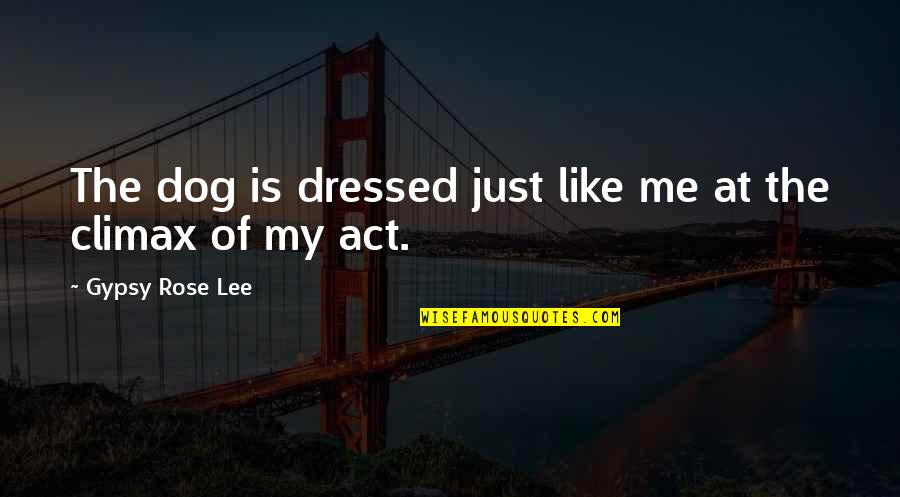 My Dog Funny Quotes By Gypsy Rose Lee: The dog is dressed just like me at