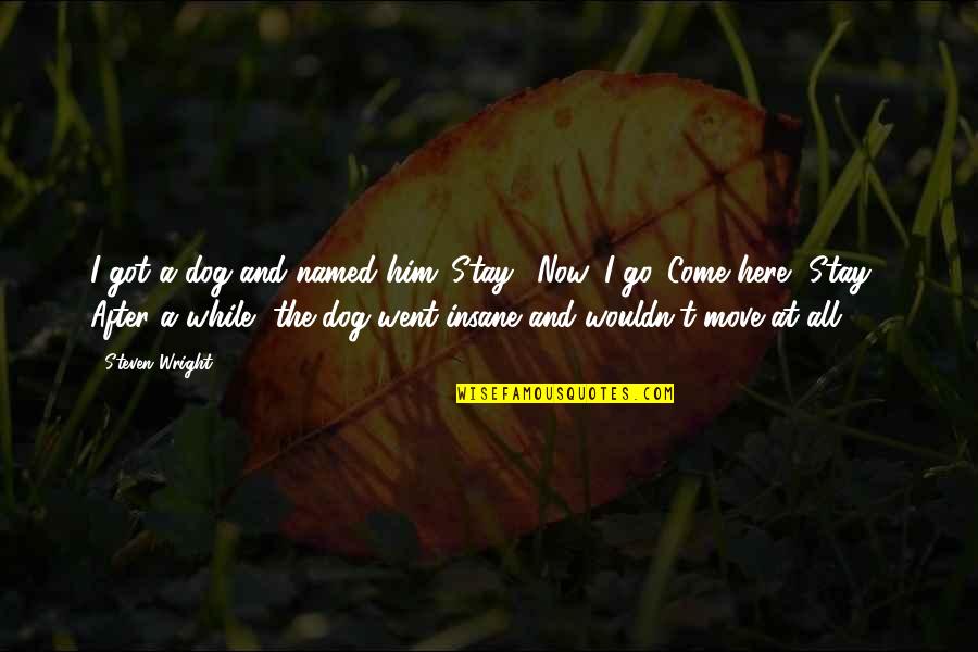 My Dog Funny Quotes By Steven Wright: I got a dog and named him 'Stay'.