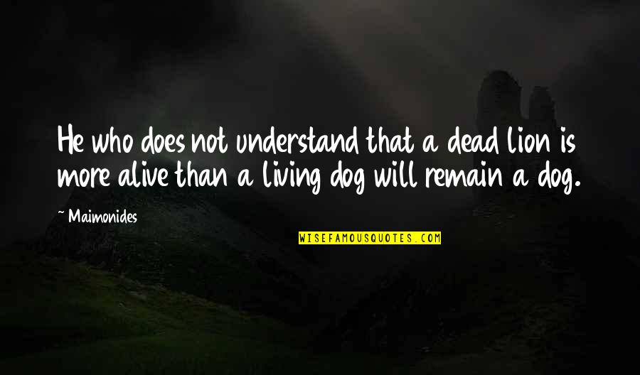 My Dog Is Dead Quotes By Maimonides: He who does not understand that a dead