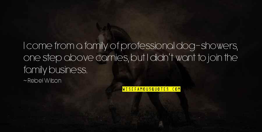 My Dog Is Family Quotes By Rebel Wilson: I come from a family of professional dog-showers, My Dog Is Family Quotes By Rebel Wilson: I come from a family of professional dog-showers,