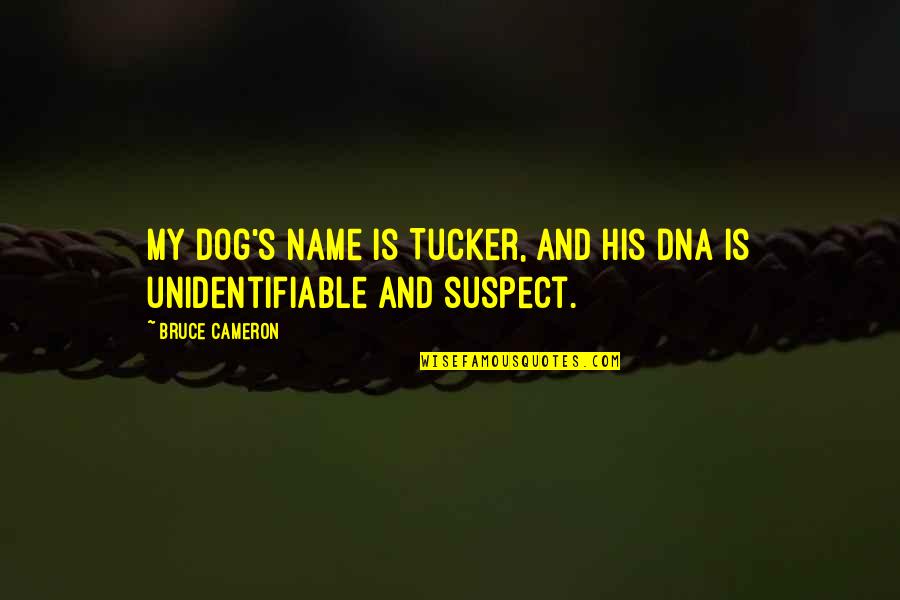 My Dog Is Quotes By Bruce Cameron: My dog's name is Tucker, and his DNA